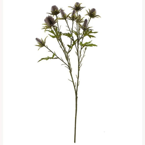 68cm Lilac Eryngium Sea Holly Thistle - Autumn Single Stem