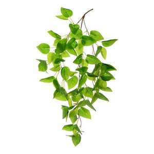 60cm Trailing Camellia Leaf Green - Artificial Greenery Foliage
