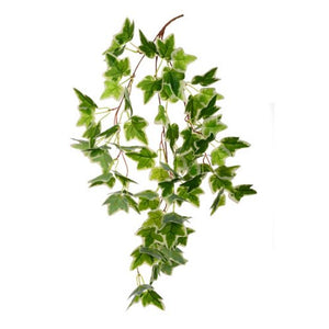 60cm Trailing Ivy Leaf Variegated - Artificial Greenery Foliage