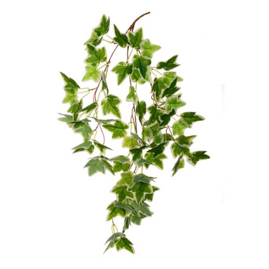 60cm Trailing Ivy Leaf Variegated - Artificial Greenery Foliage