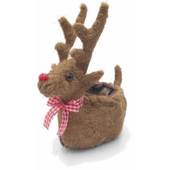 30cm Salim and Coco Fibre Reindeer Planter with Lining