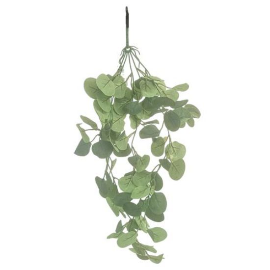 70cm Eucalyptus Grey/Green Trailing Foliage