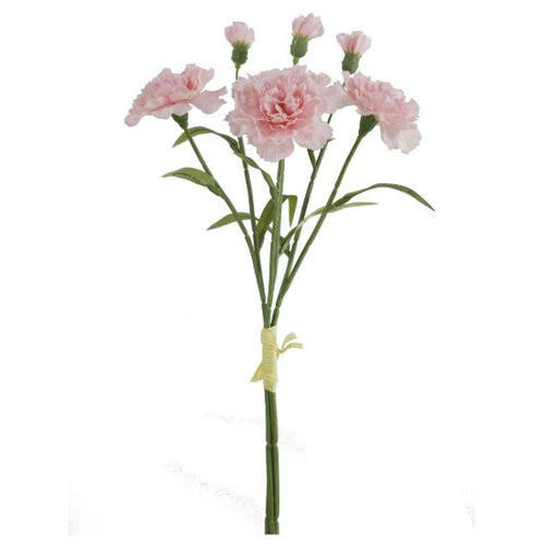 40cm Soft Pink Carnation Bundle with Raffia Tie (3 Stems)