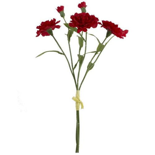 40cm Red Carnation Bundle with Raffia Tie (3 Stems)