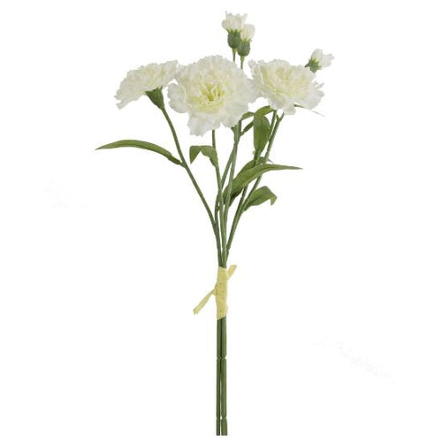 40cm Ivory Carnation Bundle with Raffia Tie (3 Stems)