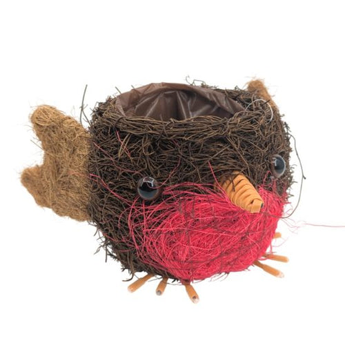 20cm Salim and Coco Fibre Robin Planter with Lining