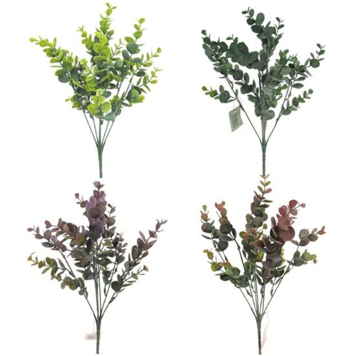 36 X 34cm Assorted Eucalyptus Bunch - Full Box