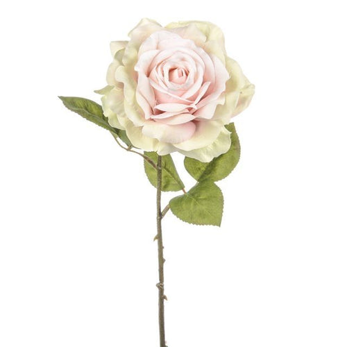 45cm Dawn Rose Baby Pink/Cream Single Stem