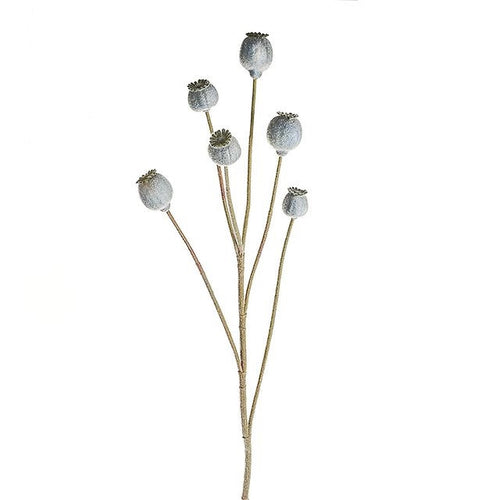 79cm Poppy Seed Pod Spray Grey