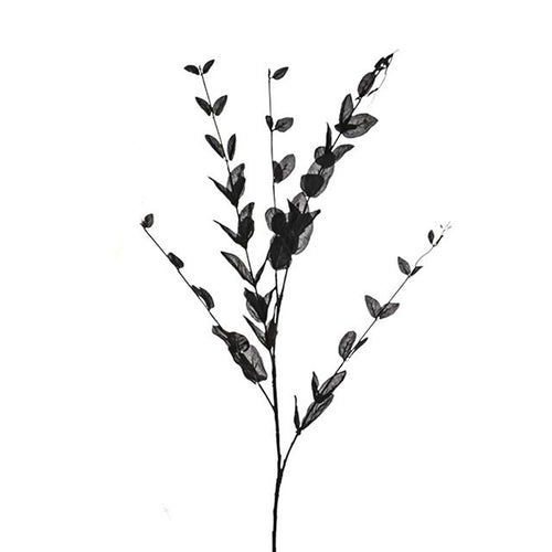 110cm Black Lonicera Leaf Spray