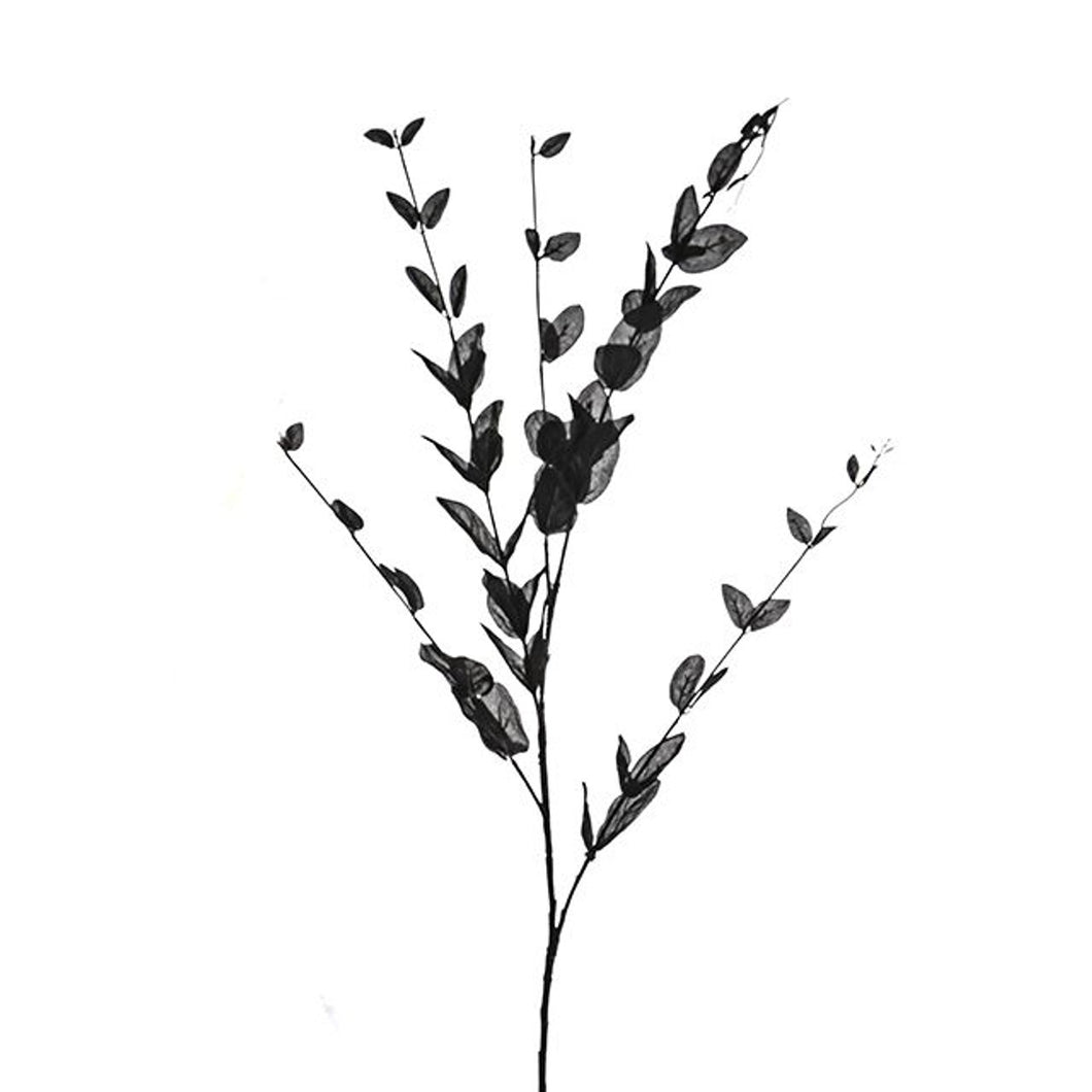 110cm Black Lonicera Leaf Spray