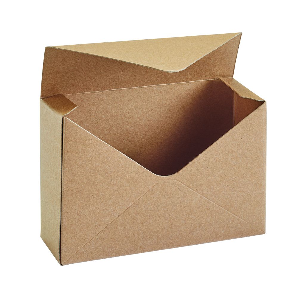 Box of 10 - Kraft Envelope Lined Flower Box