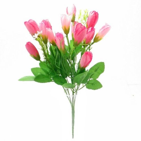 Crocus Spring Bunch