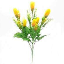 Load image into Gallery viewer, Crocus Spring Bunch