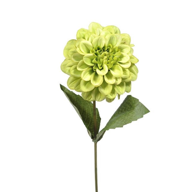 46cm Zinnia Stem Green - Artificial Flower