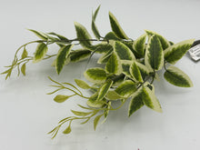 Load image into Gallery viewer, 24 X Blossom - Greenery Ruscus Stem -  Assorted Colours - Full Box