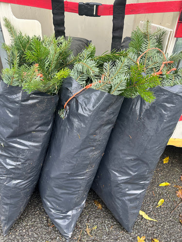 Bag of English Spruce Cuttings - Click and Collect Only
