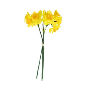 Yellow Mini Daffodil Bunch - Spring Flower (ND)