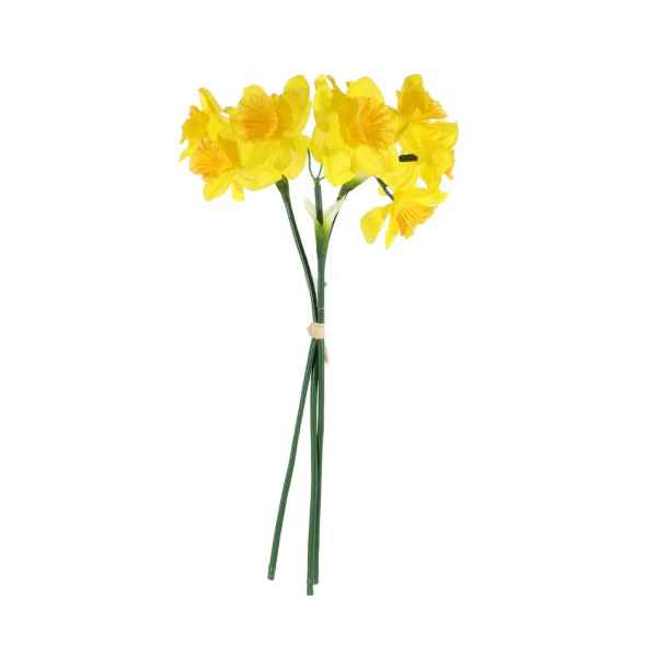 Yellow Mini Daffodil Bunch - Spring Flower (ND)