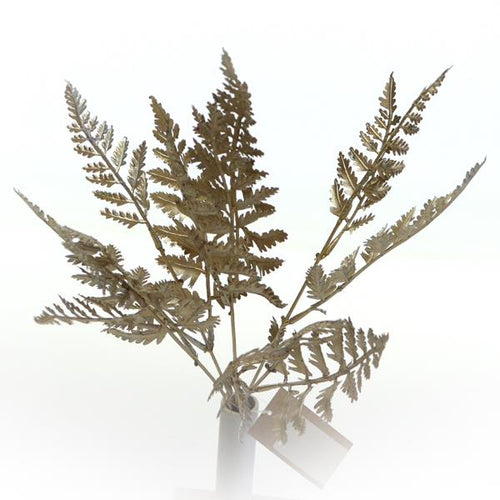 39cm Champagne Plastic Fern Bunch - Christmas Artificial