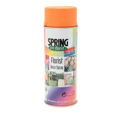 Load image into Gallery viewer, 1 Can x 300ML Basic Colour Florist Spray Paint - INSTORE/CLICK AND COLLECT ONLY.