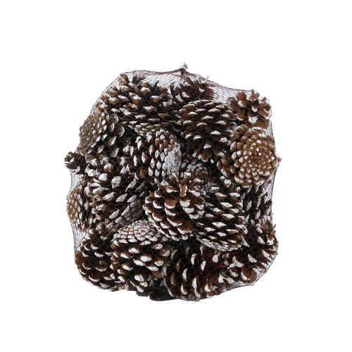 1kg White Tipped Pinus Nigra Pine Cones
