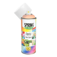 Load image into Gallery viewer, 1 Can x 300ML Basic Colour Florist Spray Paint - INSTORE/CLICK AND COLLECT ONLY.
