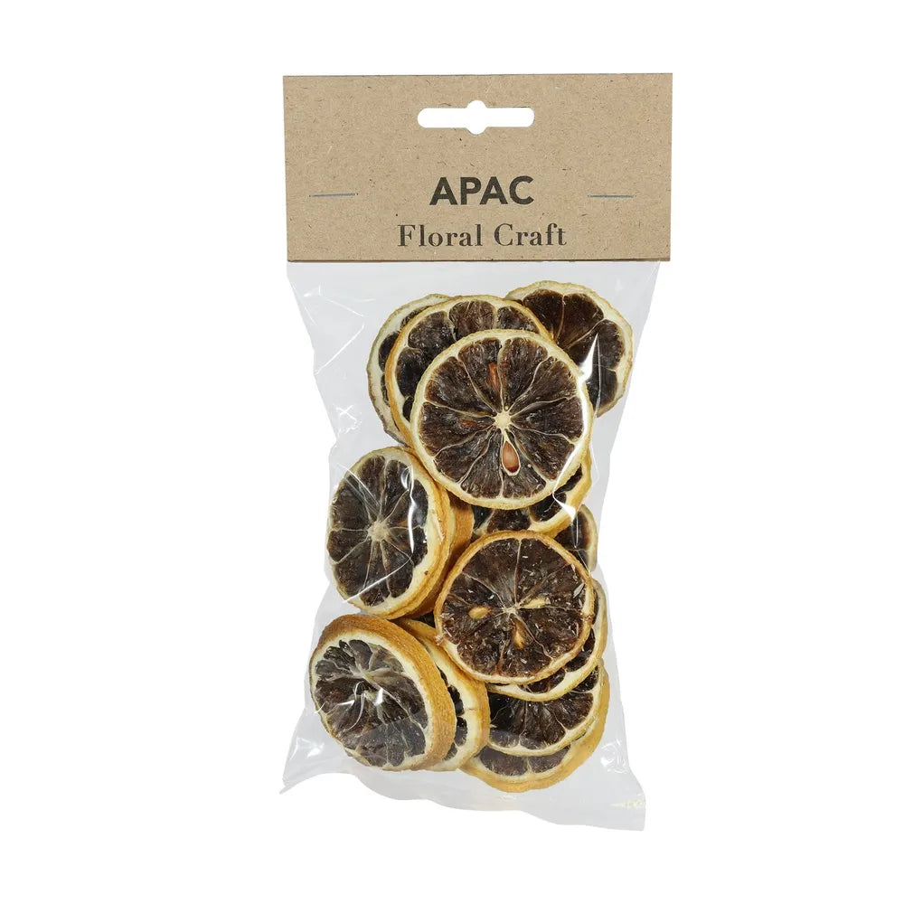 12 x Lemon Slices - Small Craft Pack