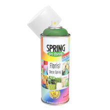 Load image into Gallery viewer, 1 Can x 300ML Basic Colour Florist Spray Paint - INSTORE/CLICK AND COLLECT ONLY.