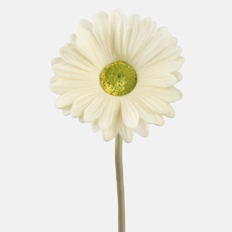 37cm Gerbera Cream - Single Stem Artificial Flower