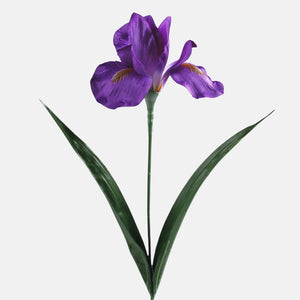 60cm Purple Iris - Single Stem
