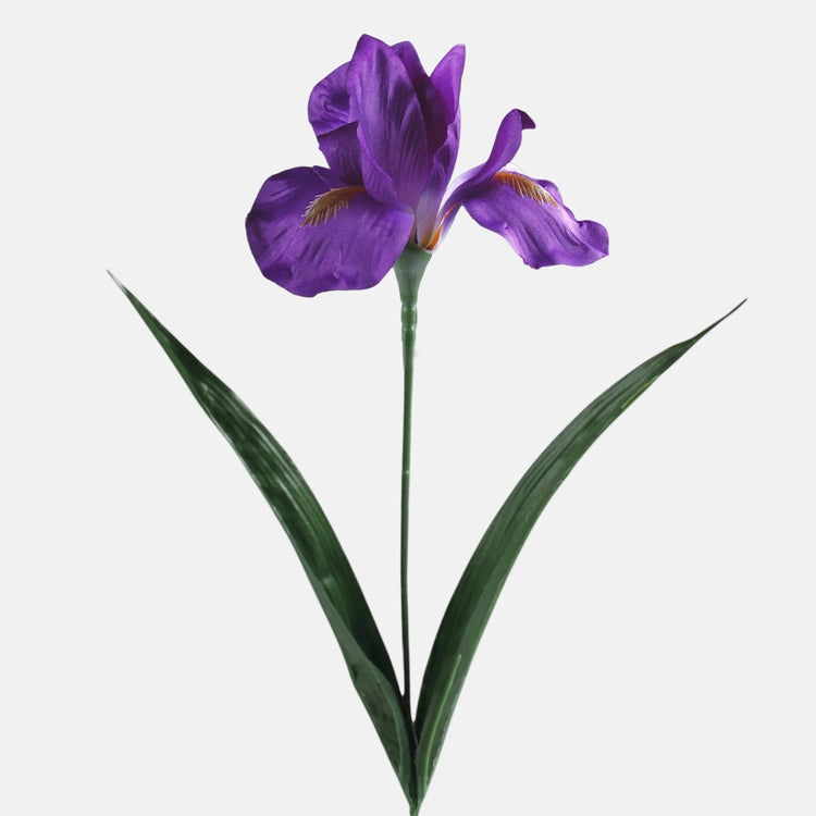 60cm Purple Iris - Single Stem
