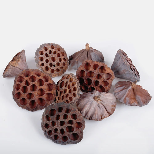 100 x Large Lotus Heads - FULL BAG