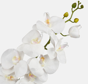 100cm Artificial White Orchid - 9 Heads - Single Stem Wedding