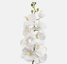 Load image into Gallery viewer, 100cm Artificial White Orchid - 9 Heads - Single Stem Wedding