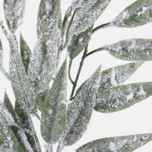 Load image into Gallery viewer, 44cm Snow Covered Green Willow Leaf - Christmas Artificial (XB10)