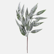 Load image into Gallery viewer, 44cm Snow Covered Green Willow Leaf - Christmas Artificial (XB10)