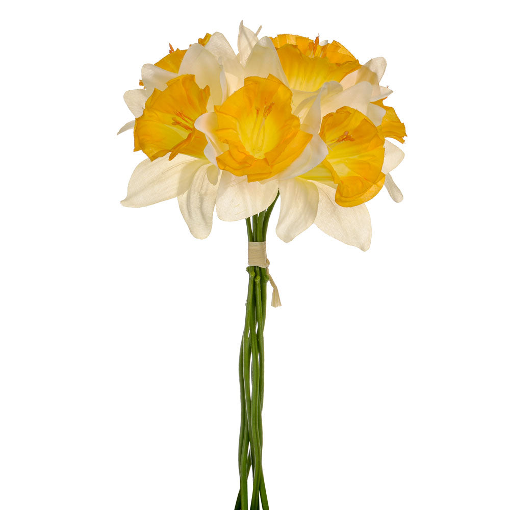 34cm Cream Orange Daffodil Bundle (SB2)