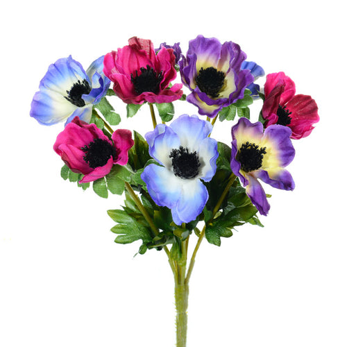 Anemone Bush Multi Colour - 27cm