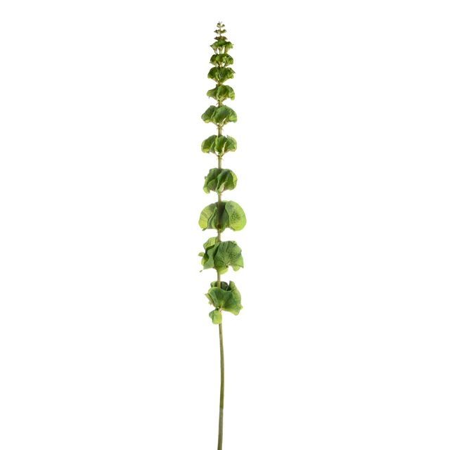 74cm Artificial Molucella / Bells of Ireland Single Stem