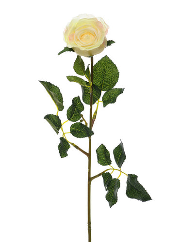 Precious Rose Bud Cream 59cm