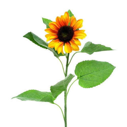 60cm Yellow Sunflower - Single Stem Artificial Flower