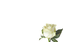 Load image into Gallery viewer, Small Tribute Message Card Cards - Variety of Messages.