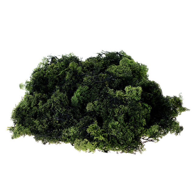 Finland Moss Green 500g