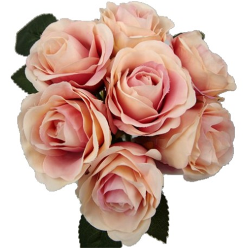 31cm Large Open Rose Bundle (7 Heads) Apricot