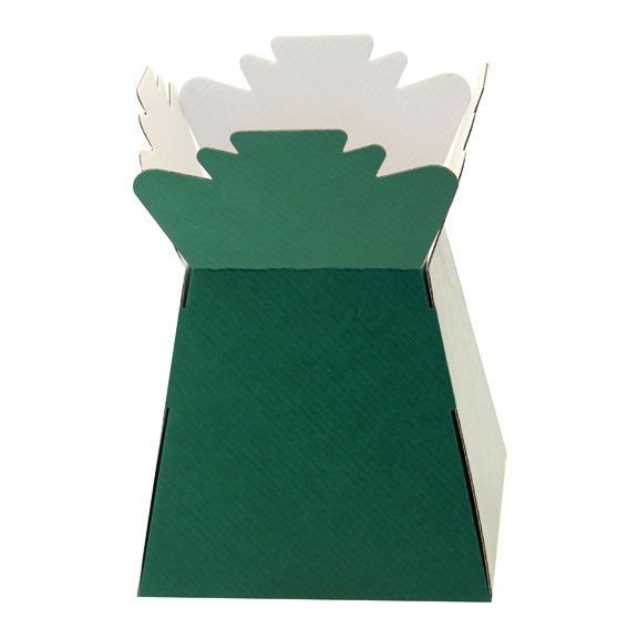 30 x Green Living Vase - Aqua Box