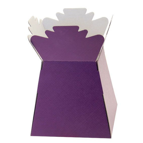 30 x Purple Living Vase - Aqua Box - LARGE ITEM