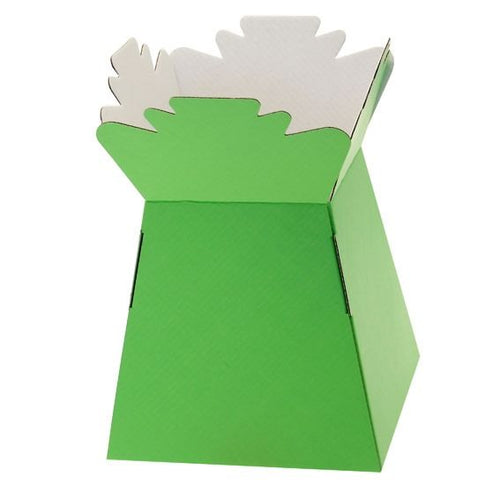 30 x Lime Green Living Vase - Aqua Box - LARGE ITEM