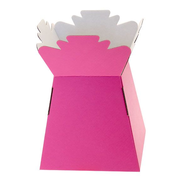 30 x Hot Pink Living Vase - Aqua Box - LARGE ITEM