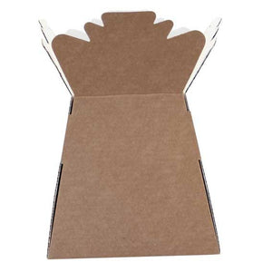 30 x Natural Craft Living Vase - Aqua Box - LARGE ITEM